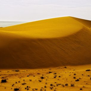 sand-dunes-164510